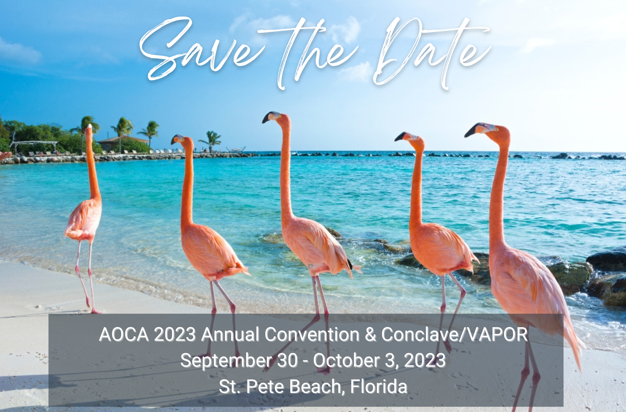 AOCA 2023 Annual Convention Save the Date | Sept 30-Oct 3, St. Pete Beach, FL